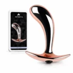 Anal Plug Ergo Rose Metal Small